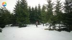 52991557_1037529.jpg