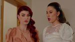 53669474_9617922.jpg