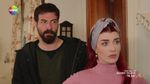 54546653_561287.jpg