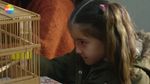 56214154_1512839.jpg