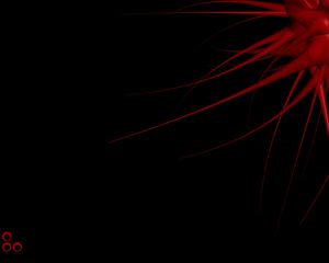 100 Black Wallpapers y6x8aj6nl3